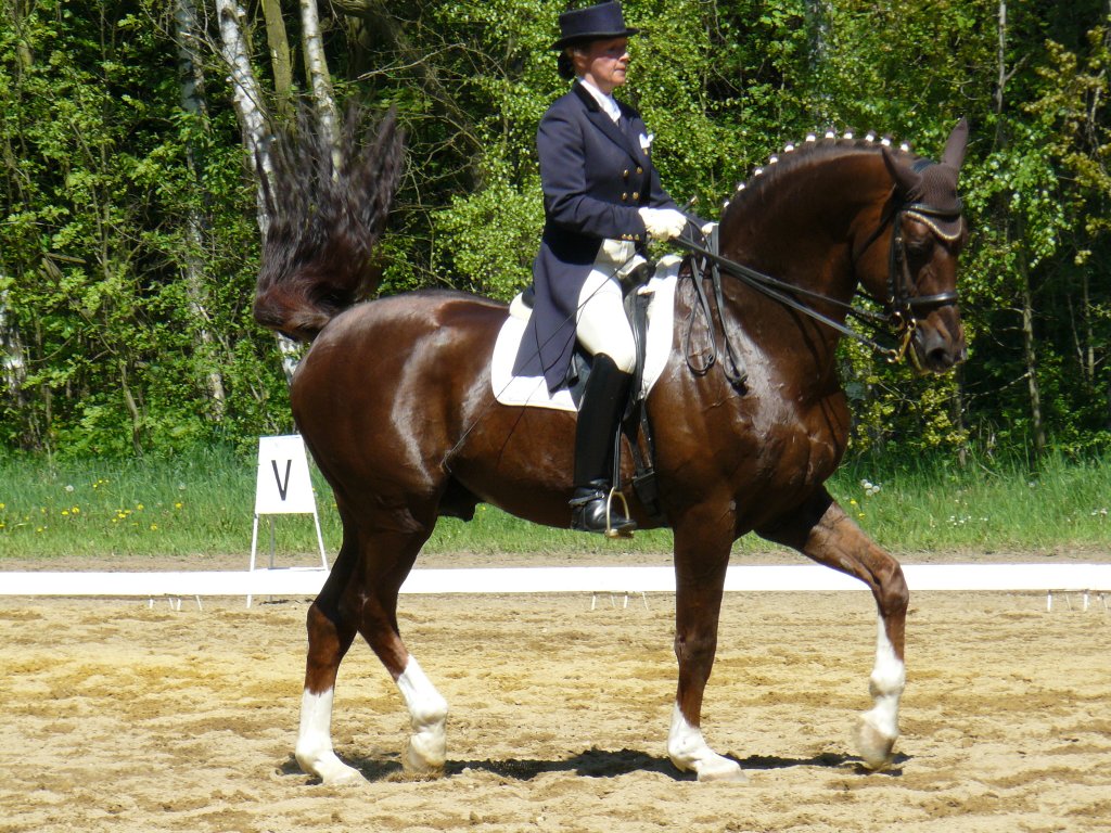 P1020048