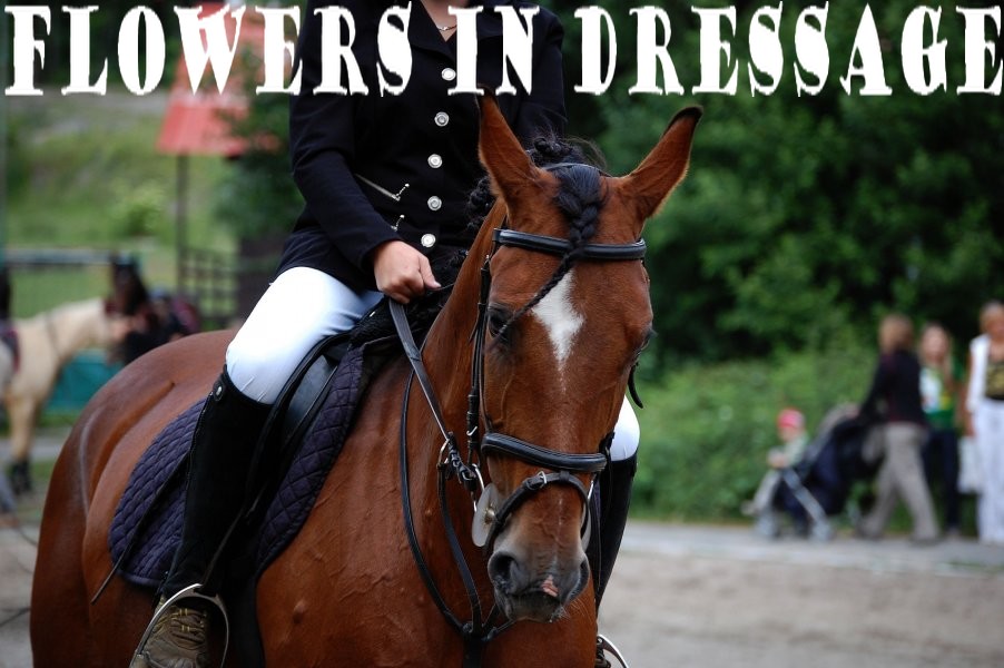 Flowers in dressage